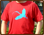 tshirts herren
